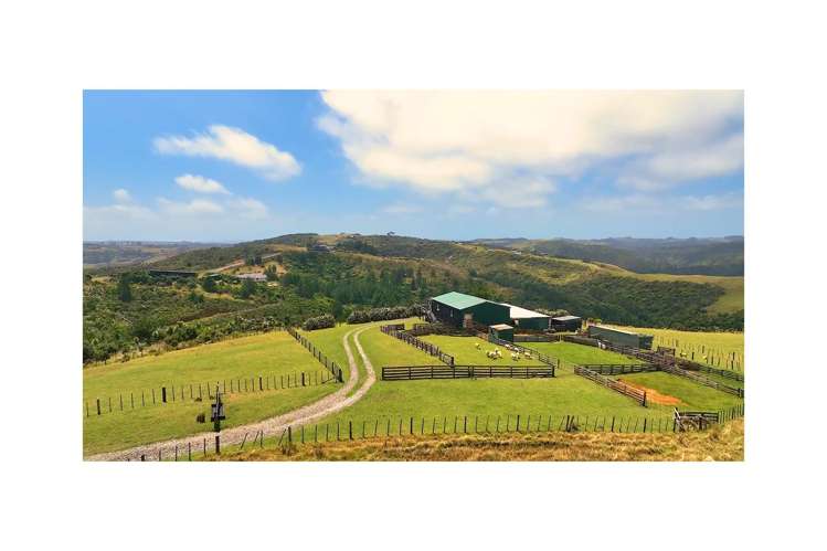 223 Constable Road Muriwai_5