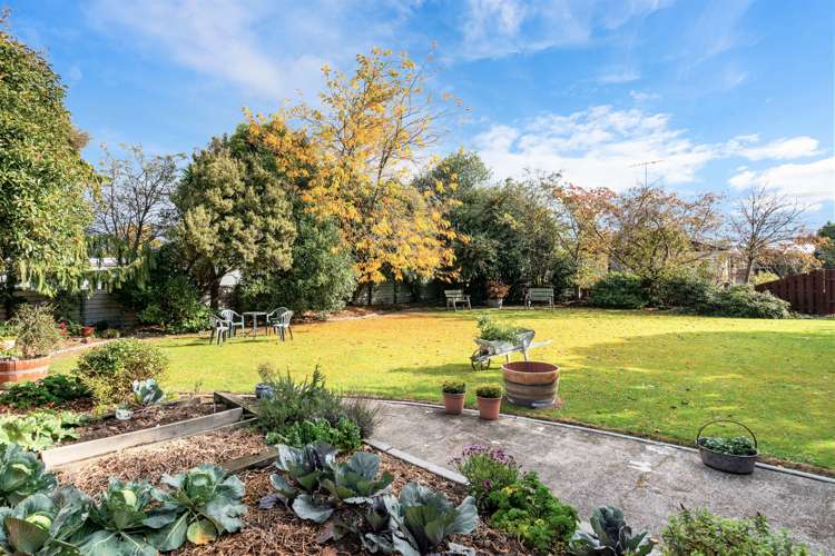 3 Springfield Road Milton_20