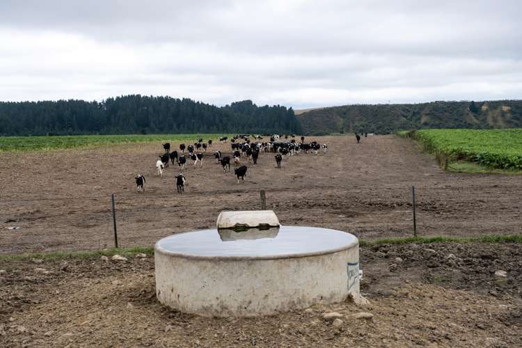 524 Rocky Gully Road Albury_11