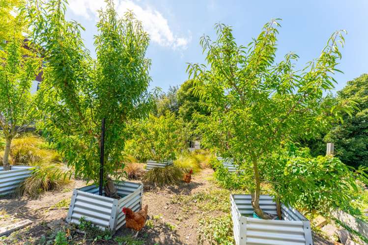 56A Kent Street Marchwiel_29