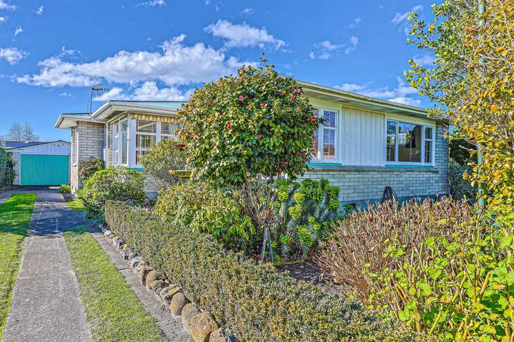 23 Upham Street Havelock North_20