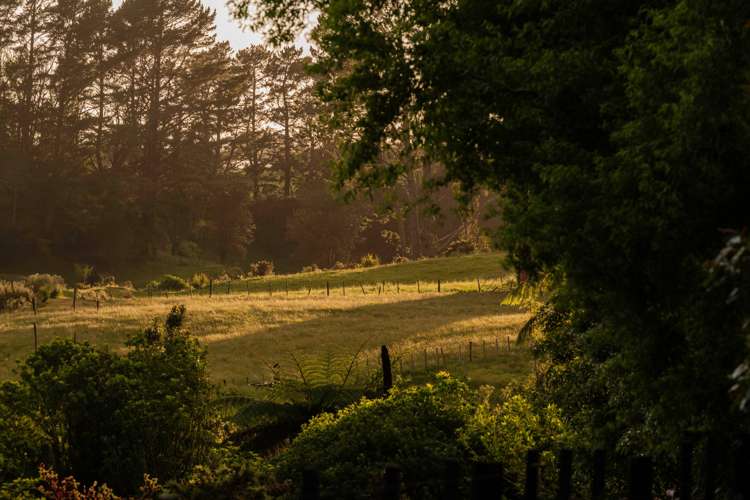 7e Walter Henry Drive Kaimai_18