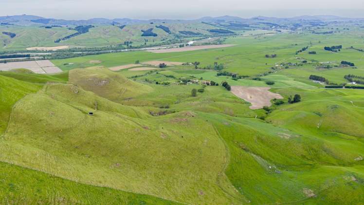Corner Te Aute Trust Road and Aupaki Road Poukawa_17