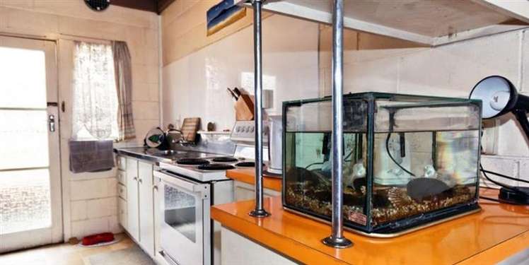 22 Kelston Street New Lynn_7