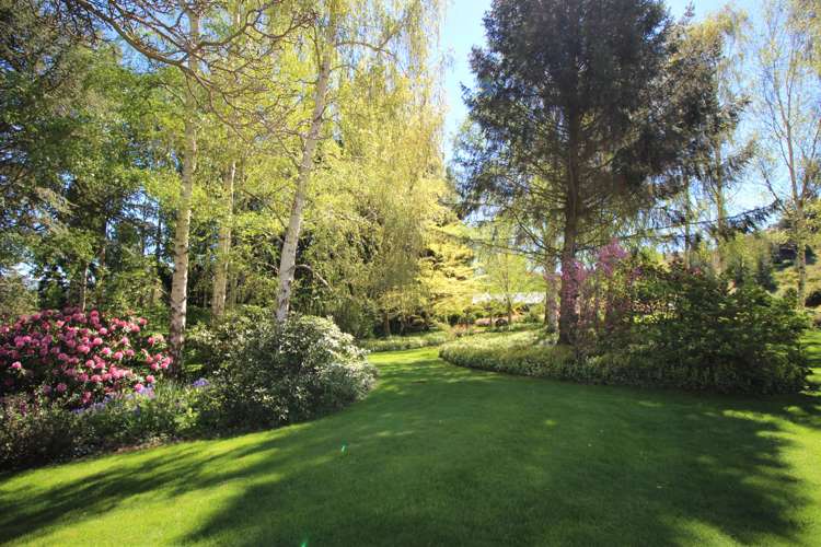 41 Waldron Road Alexandra_8