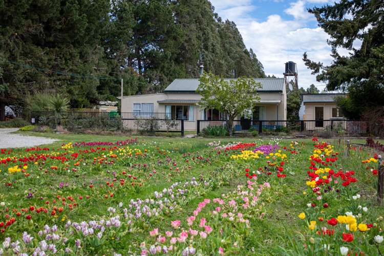 5104 Roxburgh - Ettrick Road Ettrick_9