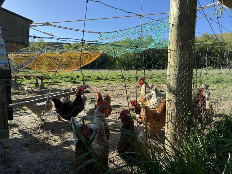 633 Ardgour Road Tarras_8