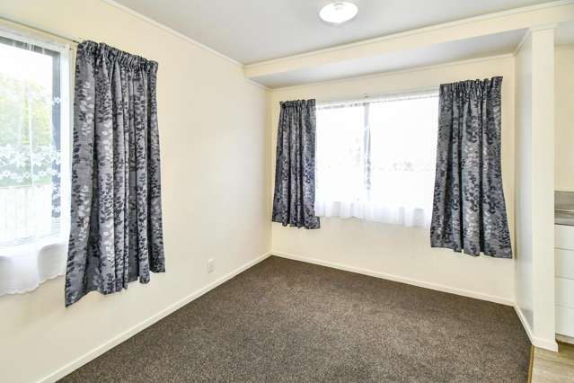 50 Christmas Road Manurewa_3