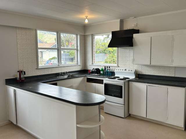 60 Rimu Street 1366_1