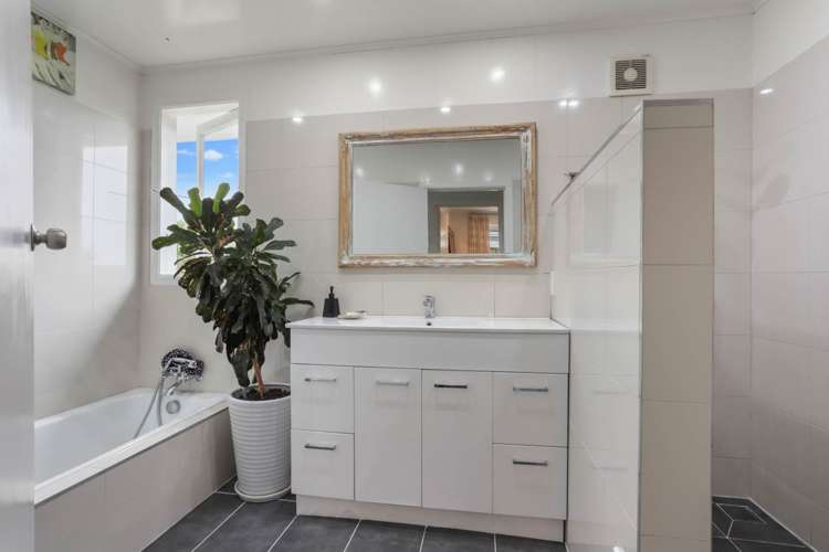 41 Tiverton Road Avondale_13