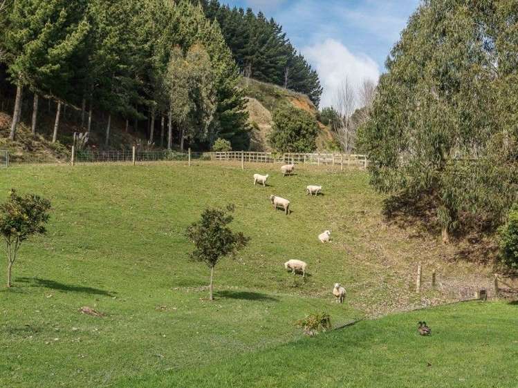 11 Kebbell Drive Waikanae_15