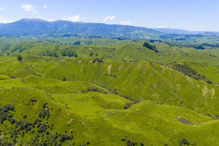 1691 Kawhatau Valley Road Mangaweka_13