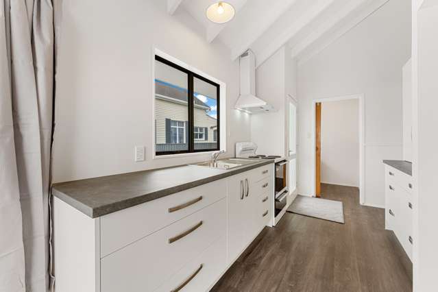 56 Wilton Street Levin_1