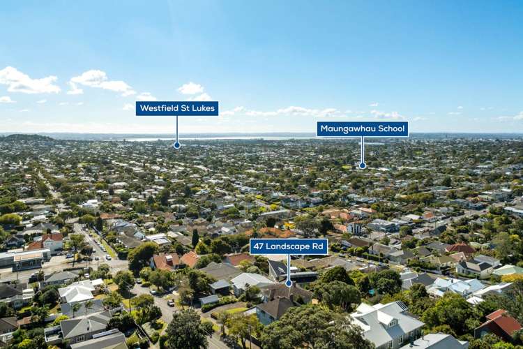 47 Landscape Road Mt Eden_29