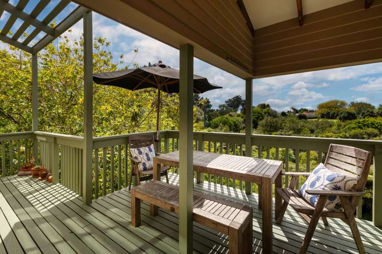 31g Cradock Street Avondale_11