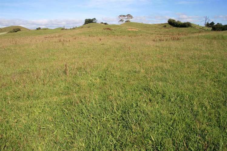 185 Bristol Road Pareora_16