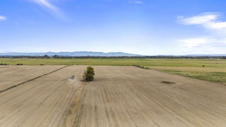 652 Makino Road Feilding_3