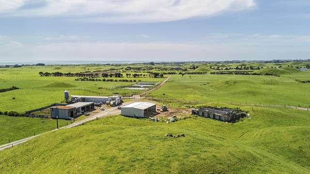 Strong Coastal Taranaki Dairy Farm