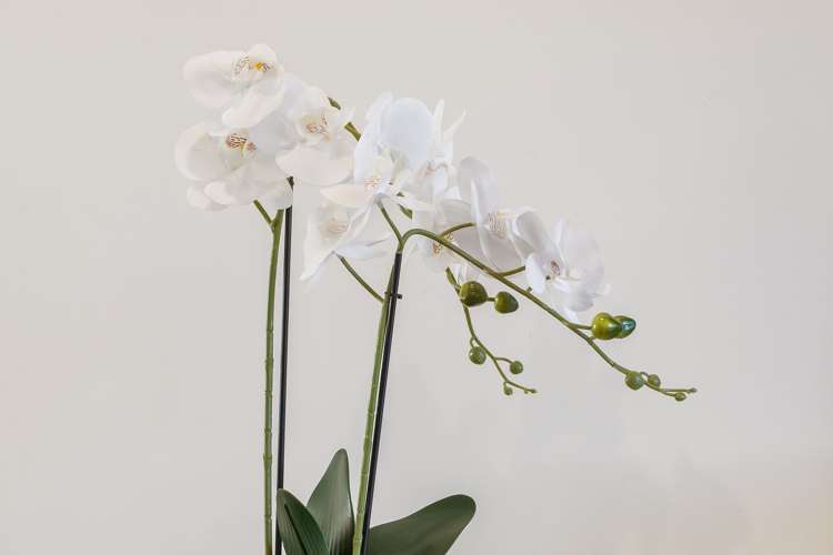 4/7 Gambia Street Papanui_6