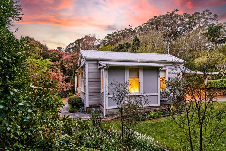 54 Middleton Road Johnsonville_3