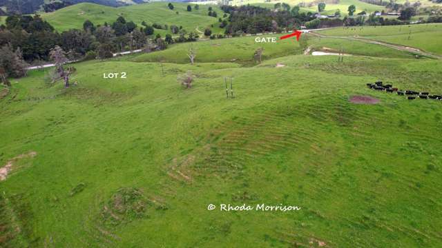 Golden Stairs Rd Maungaturoto_3