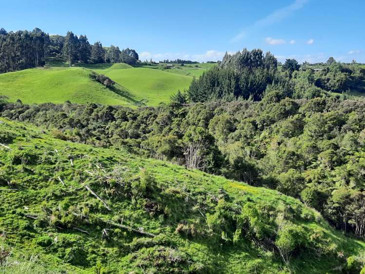 Lot 7, 560 Finnis Road Pohangina_7