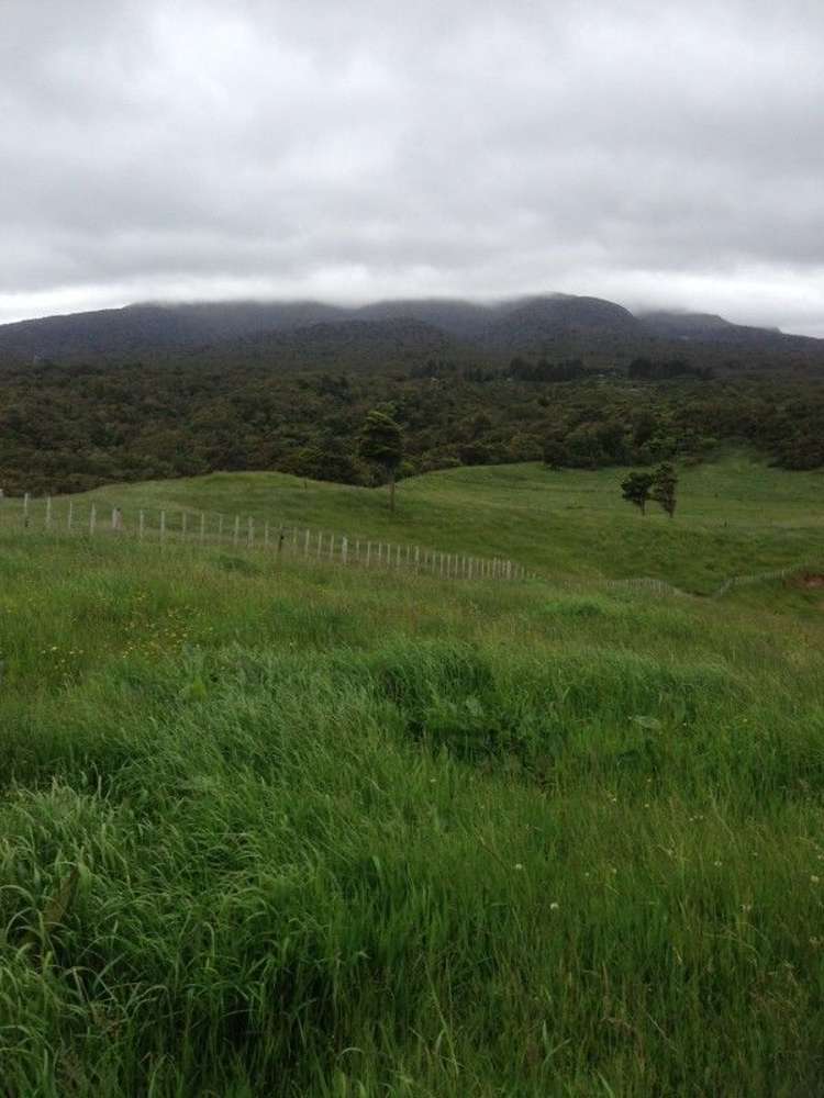 799 Dover Road Okato_6