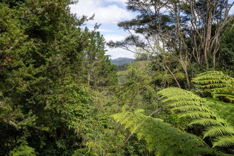 110 Waipa Heights Road Ngaruawahia_13
