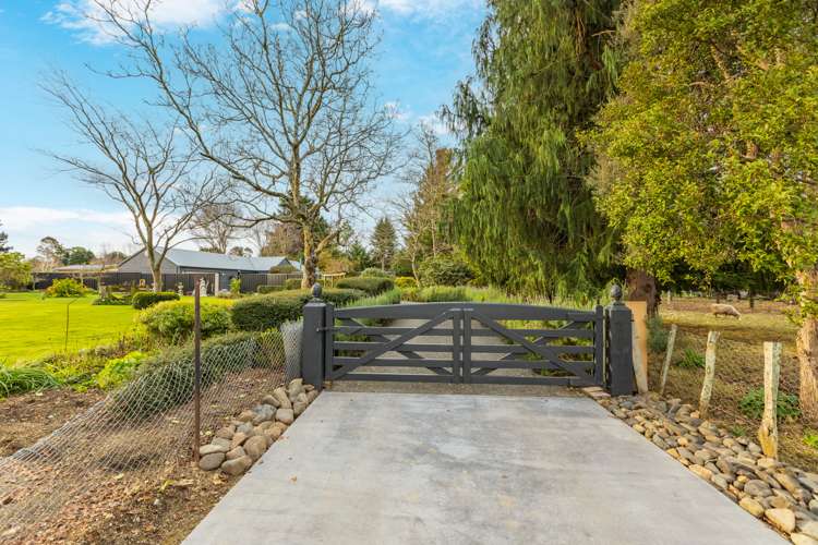 32 Owen Street Tikokino_19