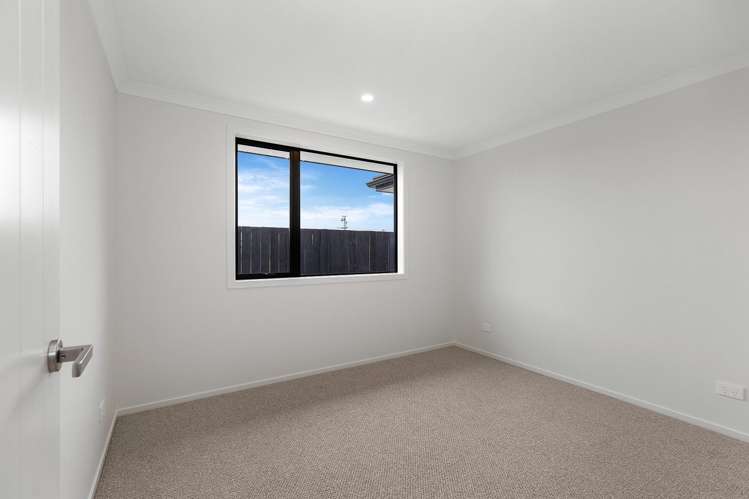 3 Warren Lane Morrinsville_5