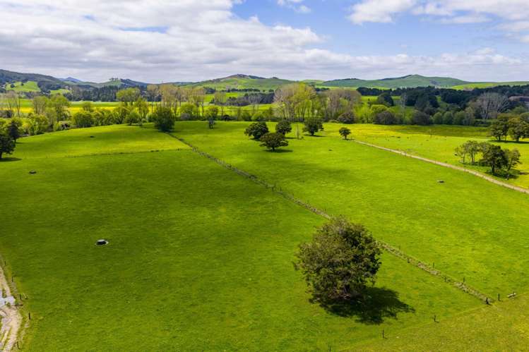 Mangakahia Road Titoki_35