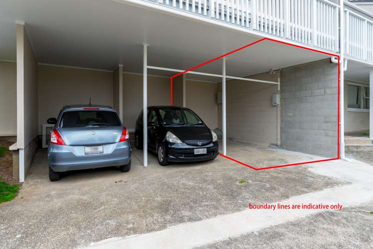 4/2 Ewenson Avenue One Tree Hill_12