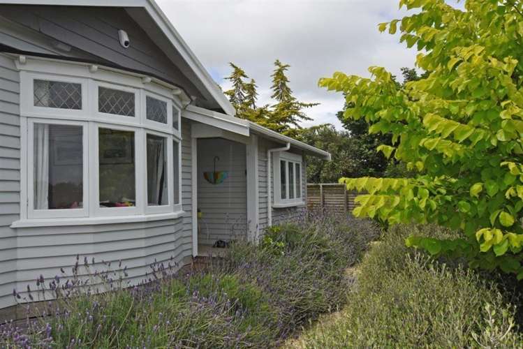 7 Dublin Street Martinborough_5