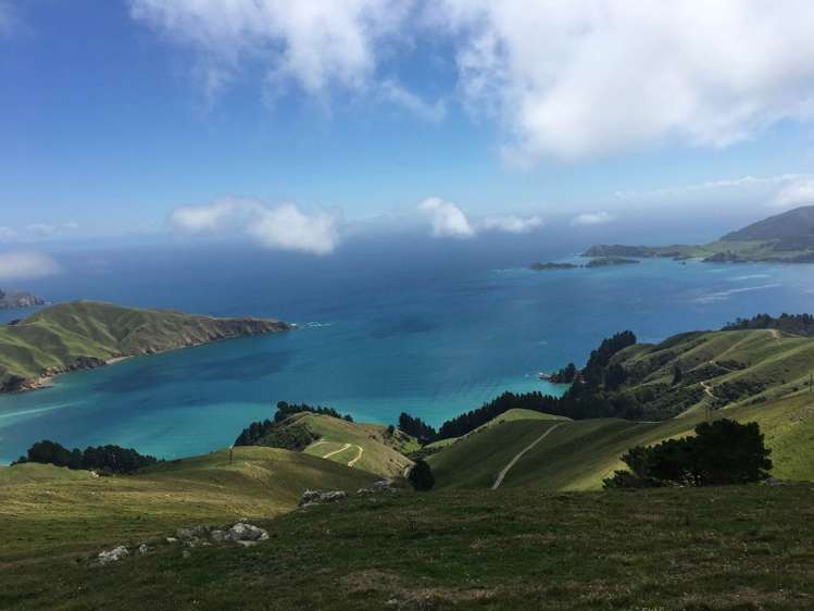 5193 Croisilles-French Pass Road Marlborough Sounds_6