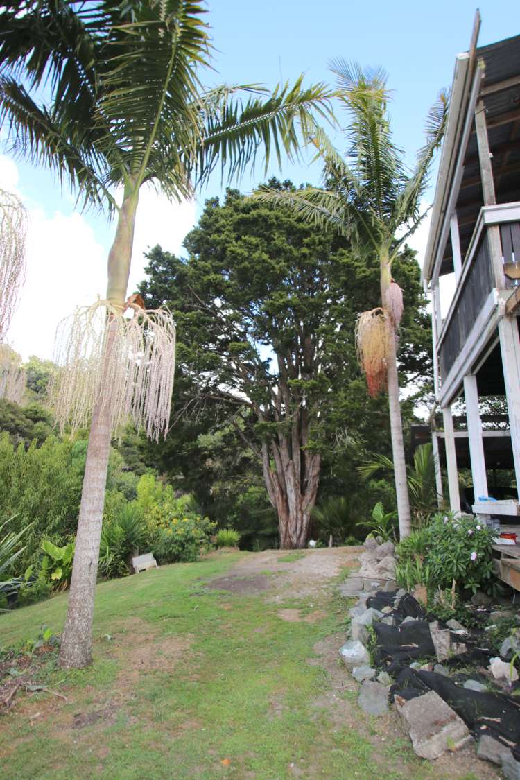 746 Parapara-Toatoa Road Taipa_11