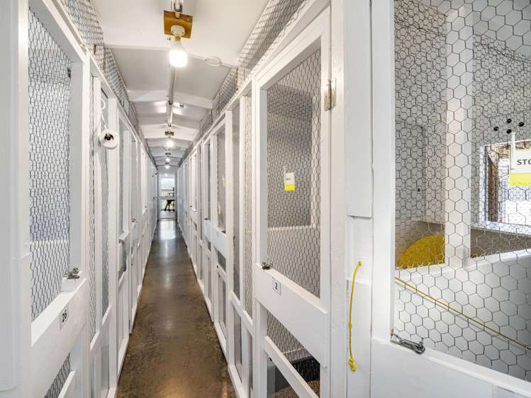 29 Walker Road West Katikati_28