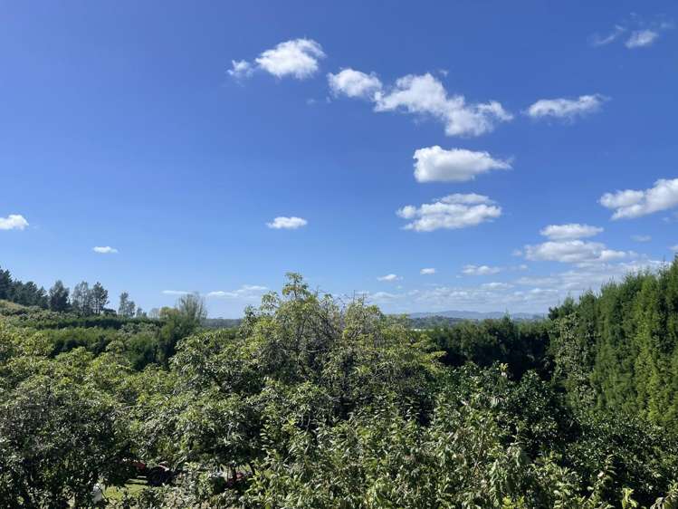 56 Plummers Point Road 11556_18