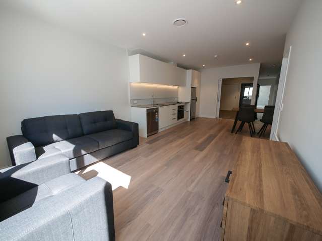 2/41 Filleul Street Dunedin Central_1