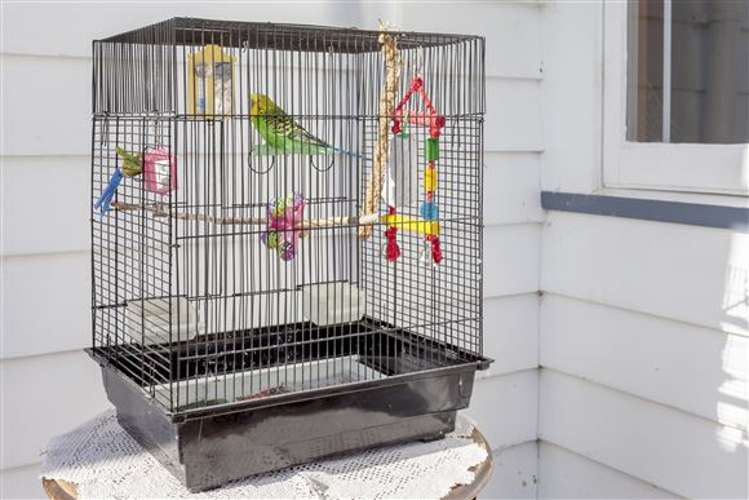 32 Hill Street Paeroa_34