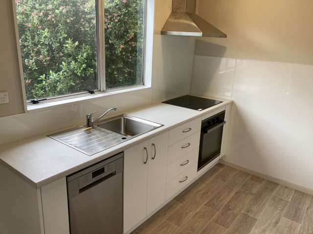 25 Kippenberger Street Masterton_3