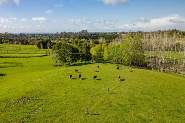 46 Macadamia Lane Kerikeri Surrounds_4