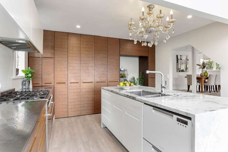 3 Elam Street Parnell_10