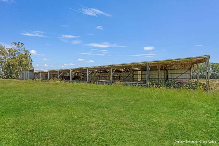 Pyramid Waiparu Road Riversdale_6