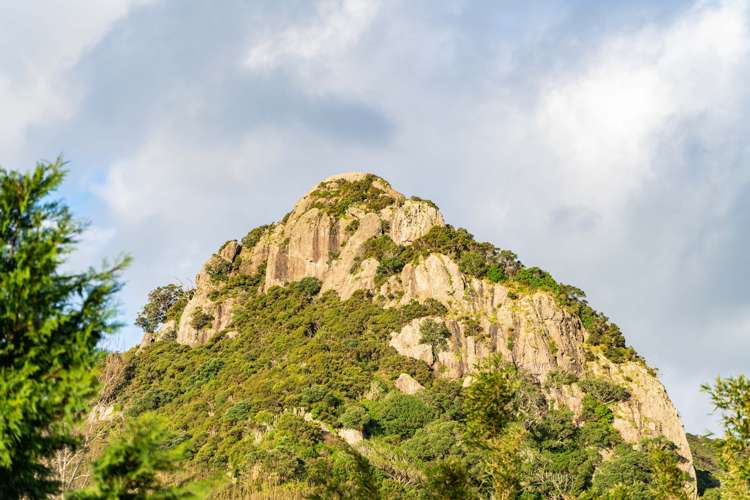 44 Darch Point Road Whangarei Heads_26