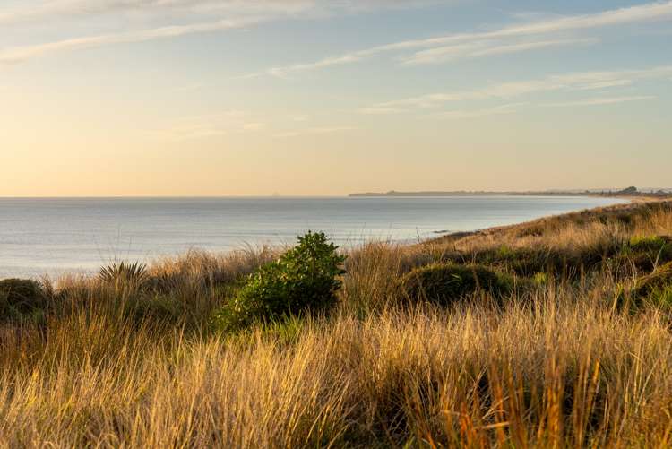 339 Oceanbeach Road Mount Maunganui_5