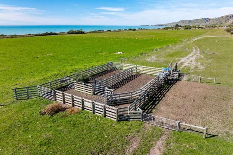 4667 State Highway 1, Clarence Kaikoura_8