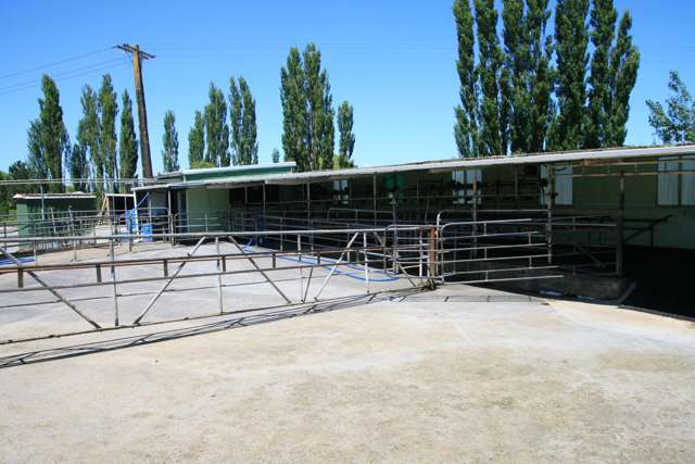 145 Bayly Road Huinga_3