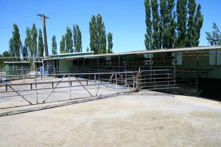 145 Bayly Road Huinga_3