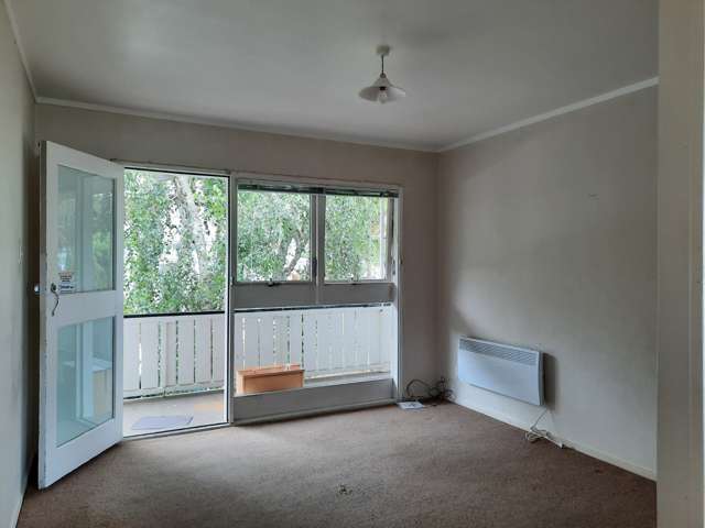 7/25 Wynyard Road Mount Eden_4