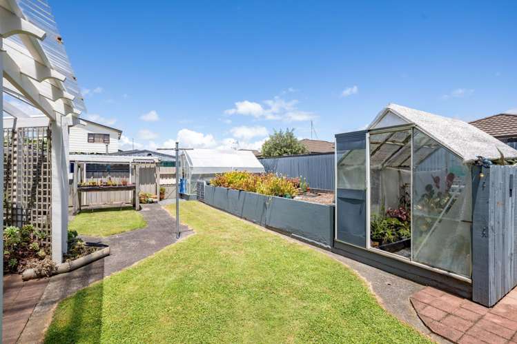 61 Te Aroha Street Hamilton East_47